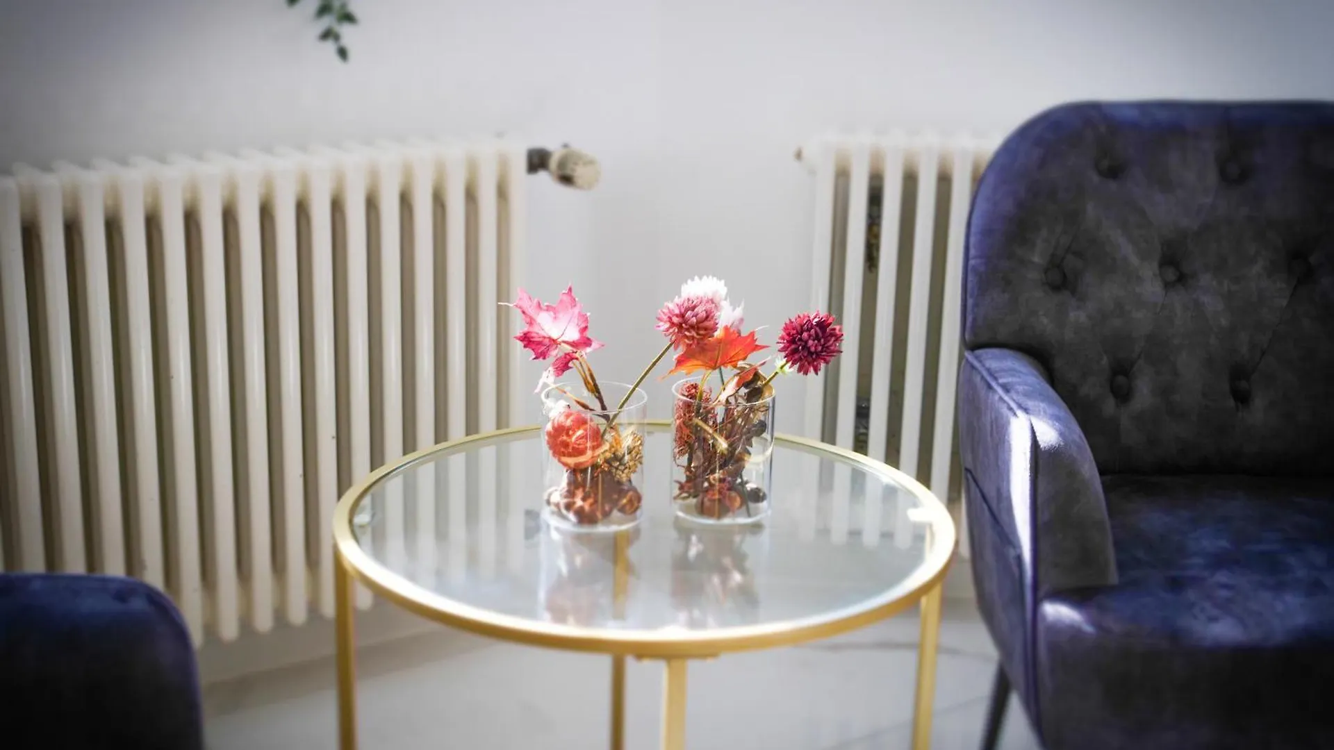 Apartment Villa Aurelia Cologne Germany